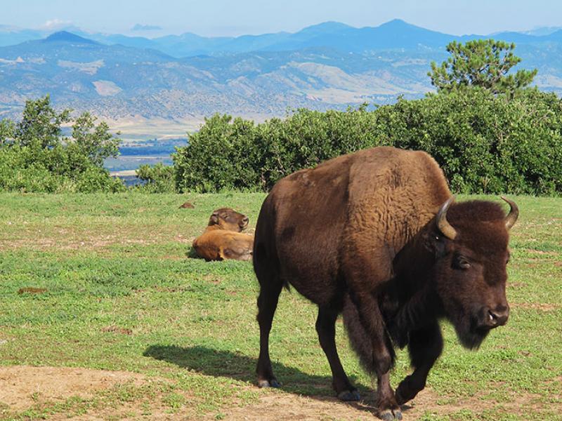 Castle Rock, Colorado - Things To Do in Castle Rock | ColoradoInfo.com