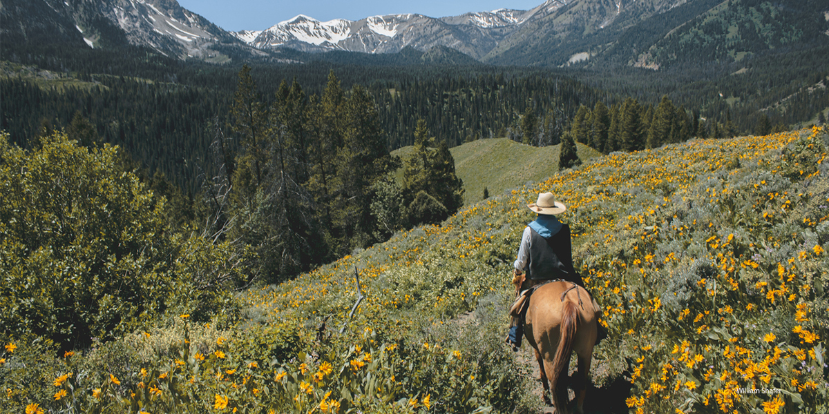 Colorado horseback trail riding mountains