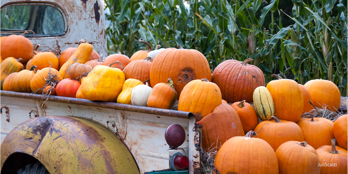 fall festival pumpkin truck