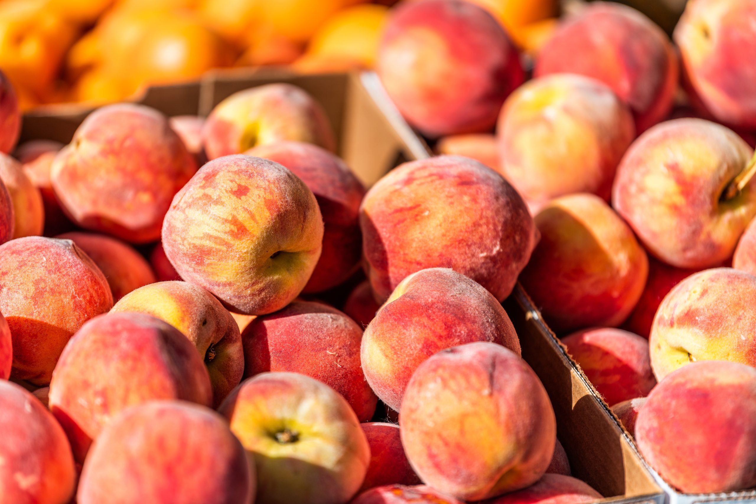 How to Pick the Best Peaches