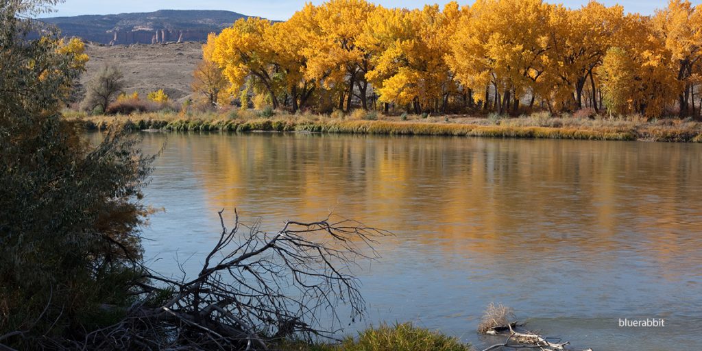 James Robb – Colorado River: Fruita Section