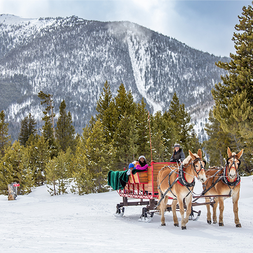 Frisco quaint resort-town sleigh ride