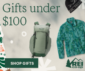 Gifts under $100